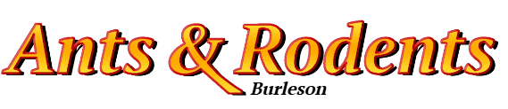 Burleson Ant Exterminator & Rodent Control Company Logo